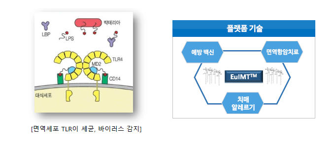 EulMTTM (EuBiologics Immune Modulation Technology) ÷